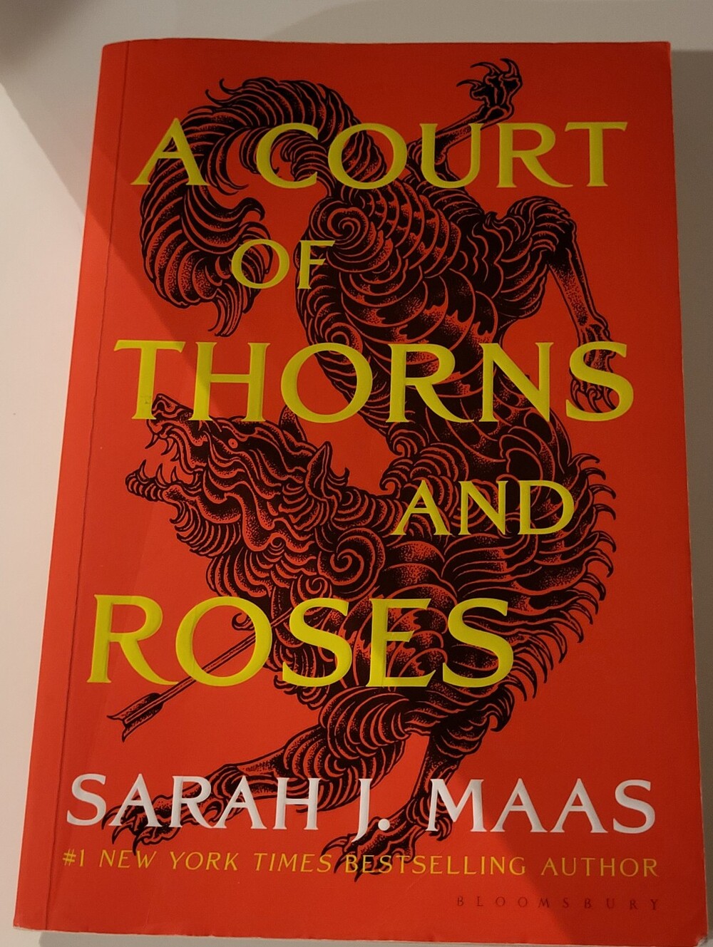 A Court Of Thorns And Roses By Sarah Maas Fairy Fantasy Sexy Court Series